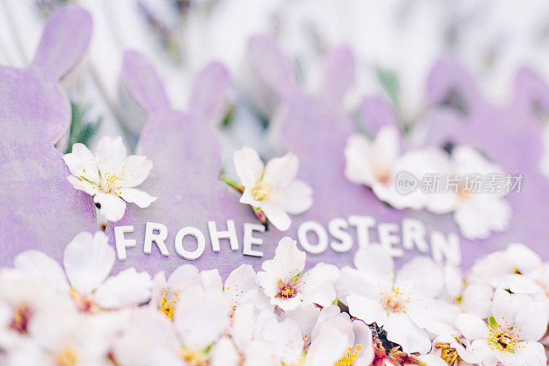 可爱的紫色木制复古复活节兔子形状杏仁花和白色德文字母Frohe Ostern意味着复活节快乐